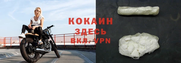 молекула духа Касимов