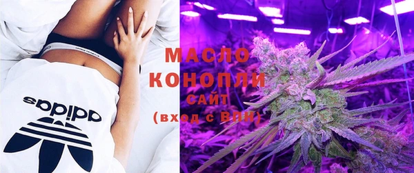 молекула духа Касимов